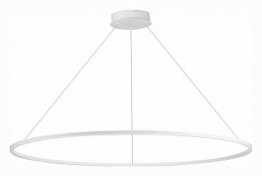 Подвесной светильник ST-Luce ST604 OUT ST604.543.46 в Кунгуре - kungur.mebel24.online | фото 2