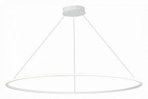 Подвесной светильник ST-Luce ST604 OUT ST604.543.46 в Кунгуре - kungur.mebel24.online | фото 3