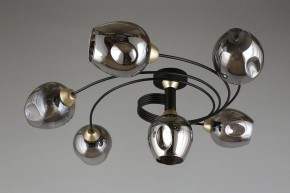Потолочная люстра Aployt Flor APL.611.17.06 в Кунгуре - kungur.mebel24.online | фото 1