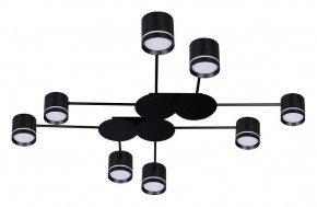 Потолочная люстра Arte Lamp Legacy A8024PL-8BK в Кунгуре - kungur.mebel24.online | фото
