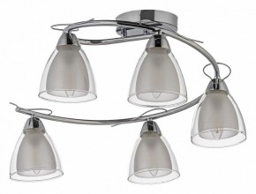 Потолочная люстра Arti Lampadari Paola, Tavenna Nickel Paola E 1.1.5 N в Кунгуре - kungur.mebel24.online | фото