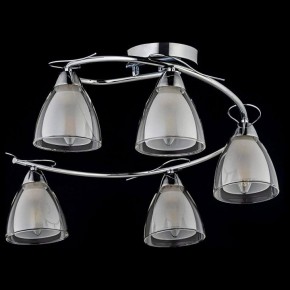 Потолочная люстра Arti Lampadari Paola, Tavenna Nickel Paola E 1.1.5 N в Кунгуре - kungur.mebel24.online | фото 2