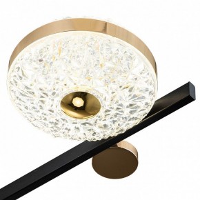 Потолочная люстра Escada Liberta 10219/6LED в Кунгуре - kungur.mebel24.online | фото 6