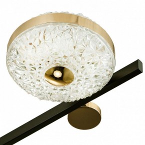 Потолочная люстра Escada Liberta 10219/6LED в Кунгуре - kungur.mebel24.online | фото 7