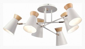 Потолочная люстра EVOLUCE Alfeo SLE1252-502-06 в Кунгуре - kungur.mebel24.online | фото