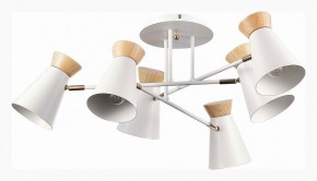 Потолочная люстра EVOLUCE Alfeo SLE1252-502-06 в Кунгуре - kungur.mebel24.online | фото 2