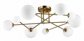 Потолочная люстра EVOLUCE Fantini SLE2211-302-09 в Кунгуре - kungur.mebel24.online | фото