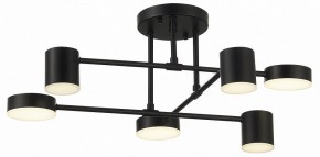 Потолочная люстра EVOLUCE Nobel SLE201042-06 в Кунгуре - kungur.mebel24.online | фото 10
