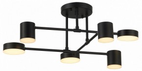 Потолочная люстра EVOLUCE Nobel SLE201042-06 в Кунгуре - kungur.mebel24.online | фото 12