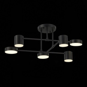 Потолочная люстра EVOLUCE Nobel SLE201042-06 в Кунгуре - kungur.mebel24.online | фото 13