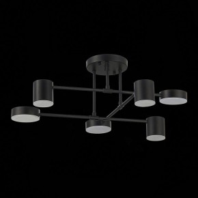 Потолочная люстра EVOLUCE Nobel SLE201042-06 в Кунгуре - kungur.mebel24.online | фото 14