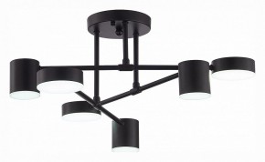 Потолочная люстра EVOLUCE Nobel SLE201042-06 в Кунгуре - kungur.mebel24.online | фото 5