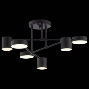 Потолочная люстра EVOLUCE Nobel SLE201042-06 в Кунгуре - kungur.mebel24.online | фото 6