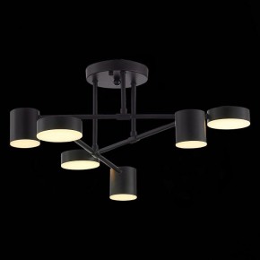 Потолочная люстра EVOLUCE Nobel SLE201042-06 в Кунгуре - kungur.mebel24.online | фото 7