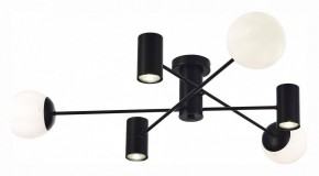 Потолочная люстра EVOLUCE Raito SLE1105-402-06 в Кунгуре - kungur.mebel24.online | фото