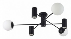 Потолочная люстра EVOLUCE Raito SLE1105-402-06 в Кунгуре - kungur.mebel24.online | фото 2