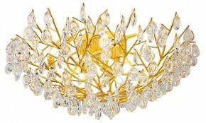 Потолочная люстра Favourite Pluvia 4162-10C в Кунгуре - kungur.mebel24.online | фото 2