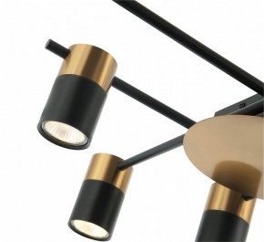 Потолочная люстра Favourite Topper 2825-8P в Кунгуре - kungur.mebel24.online | фото 4