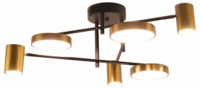 Потолочная люстра Kink Light Рапис 07645-6D,19(20) в Кунгуре - kungur.mebel24.online | фото