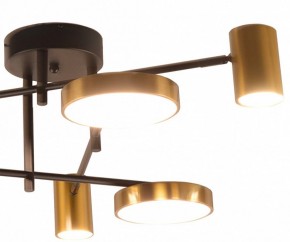 Потолочная люстра Kink Light Рапис 07645-6D,19(20) в Кунгуре - kungur.mebel24.online | фото 2