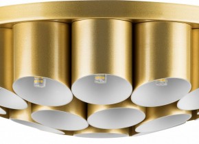 Потолочная люстра Lightstar Siena 720222 в Кунгуре - kungur.mebel24.online | фото 3