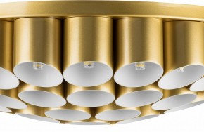 Потолочная люстра Lightstar Siena 720402 в Кунгуре - kungur.mebel24.online | фото 3
