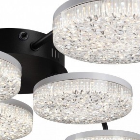 Потолочная люстра Lumion Didana 8236/6CL в Кунгуре - kungur.mebel24.online | фото 9
