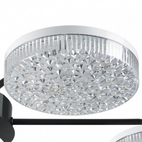 Потолочная люстра Lumion Didana 8236/7CL в Кунгуре - kungur.mebel24.online | фото 9