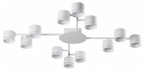 Потолочная люстра Lumion Gareta 8235/12C в Кунгуре - kungur.mebel24.online | фото