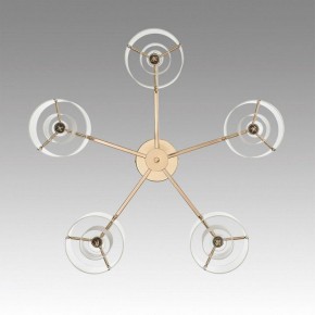Потолочная люстра Lumion Verdi 6587/5C в Кунгуре - kungur.mebel24.online | фото 4