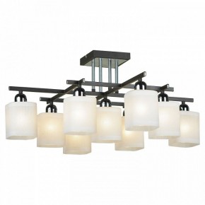 Потолочная люстра Lussole Costanzo LSL-9007-09 в Кунгуре - kungur.mebel24.online | фото 2