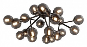 Потолочная люстра Maytoni Dallas MOD545CL-20B в Кунгуре - kungur.mebel24.online | фото 2