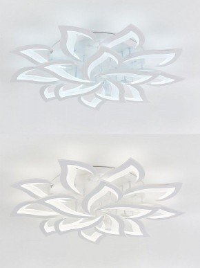 Потолочная люстра Natali Kovaltseva Olimp LED LAMPS 81335 в Кунгуре - kungur.mebel24.online | фото 6