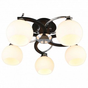 Потолочная люстра Omnilux Caldiero OML-25407-05 в Кунгуре - kungur.mebel24.online | фото 2