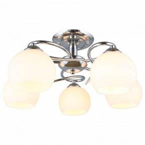 Потолочная люстра Omnilux Casoria OML-25107-05 в Кунгуре - kungur.mebel24.online | фото 2