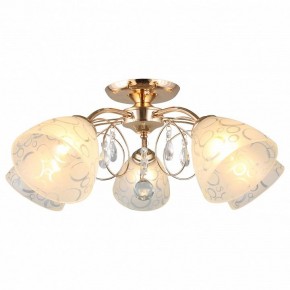 Потолочная люстра Omnilux Castellaro OML-29007-05 в Кунгуре - kungur.mebel24.online | фото 2