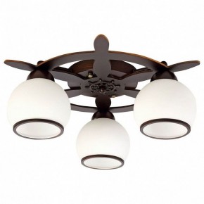 Потолочная люстра Omnilux Fronteira OML-50507-03 в Кунгуре - kungur.mebel24.online | фото