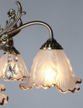 Потолочная люстра Omnilux Petrara OML-54807-05 в Кунгуре - kungur.mebel24.online | фото 3