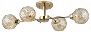 Потолочная люстра Rivoli Amalia Б0050815 в Кунгуре - kungur.mebel24.online | фото