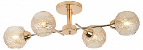Потолочная люстра Rivoli Amalia Б0050815 в Кунгуре - kungur.mebel24.online | фото 2