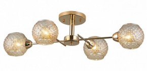 Потолочная люстра Rivoli Amalia Б0050815 в Кунгуре - kungur.mebel24.online | фото 3