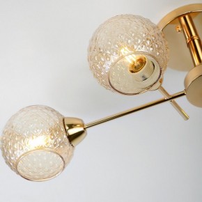 Потолочная люстра Rivoli Amalia Б0050815 в Кунгуре - kungur.mebel24.online | фото 8