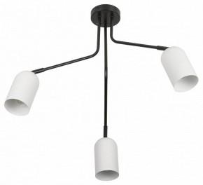 Потолочная люстра Rivoli Rosalinda Б0064987 в Кунгуре - kungur.mebel24.online | фото