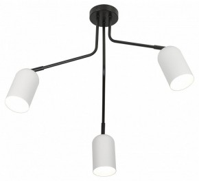 Потолочная люстра Rivoli Rosalinda Б0064987 в Кунгуре - kungur.mebel24.online | фото 4