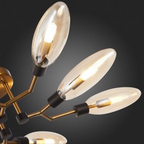 Потолочная люстра ST-Luce Desima SL1174.302.08 в Кунгуре - kungur.mebel24.online | фото 11