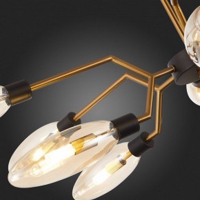 Потолочная люстра ST-Luce Desima SL1174.303.12 в Кунгуре - kungur.mebel24.online | фото 10