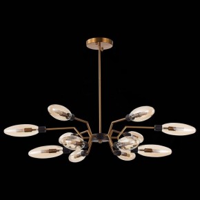 Потолочная люстра ST-Luce Desima SL1174.303.12 в Кунгуре - kungur.mebel24.online | фото 4