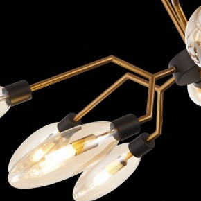 Потолочная люстра ST-Luce Desima SL1174.303.12 в Кунгуре - kungur.mebel24.online | фото 9