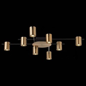 Потолочная люстра ST-Luce Veroli SL1207.402.08 в Кунгуре - kungur.mebel24.online | фото 4