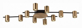 Потолочная люстра ST-Luce Veroli SL1207.402.10 в Кунгуре - kungur.mebel24.online | фото 2